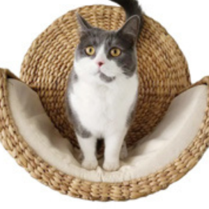 Cat Pet with Soft Cushion -01P