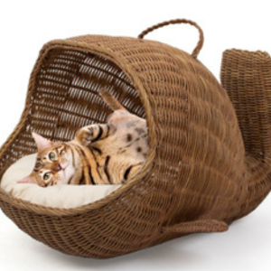 Fish Shape Pet House - 01N